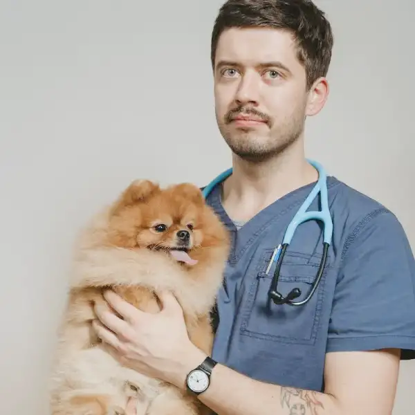 sinalização digital para saúde, veterinária