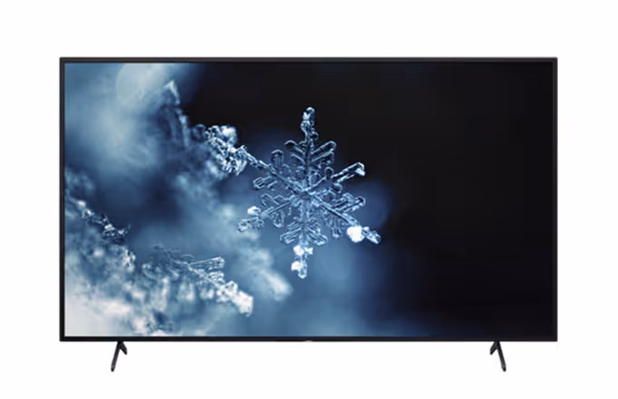 Sony-BRAVIA-BZ30L
