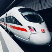 transportation