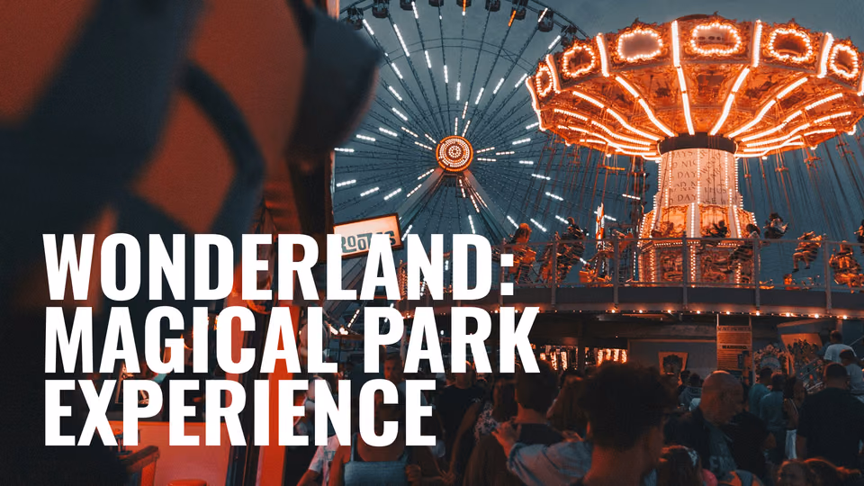 Главный шаблон Wonderland Magical Park Experience с освещённой каруселью ночью