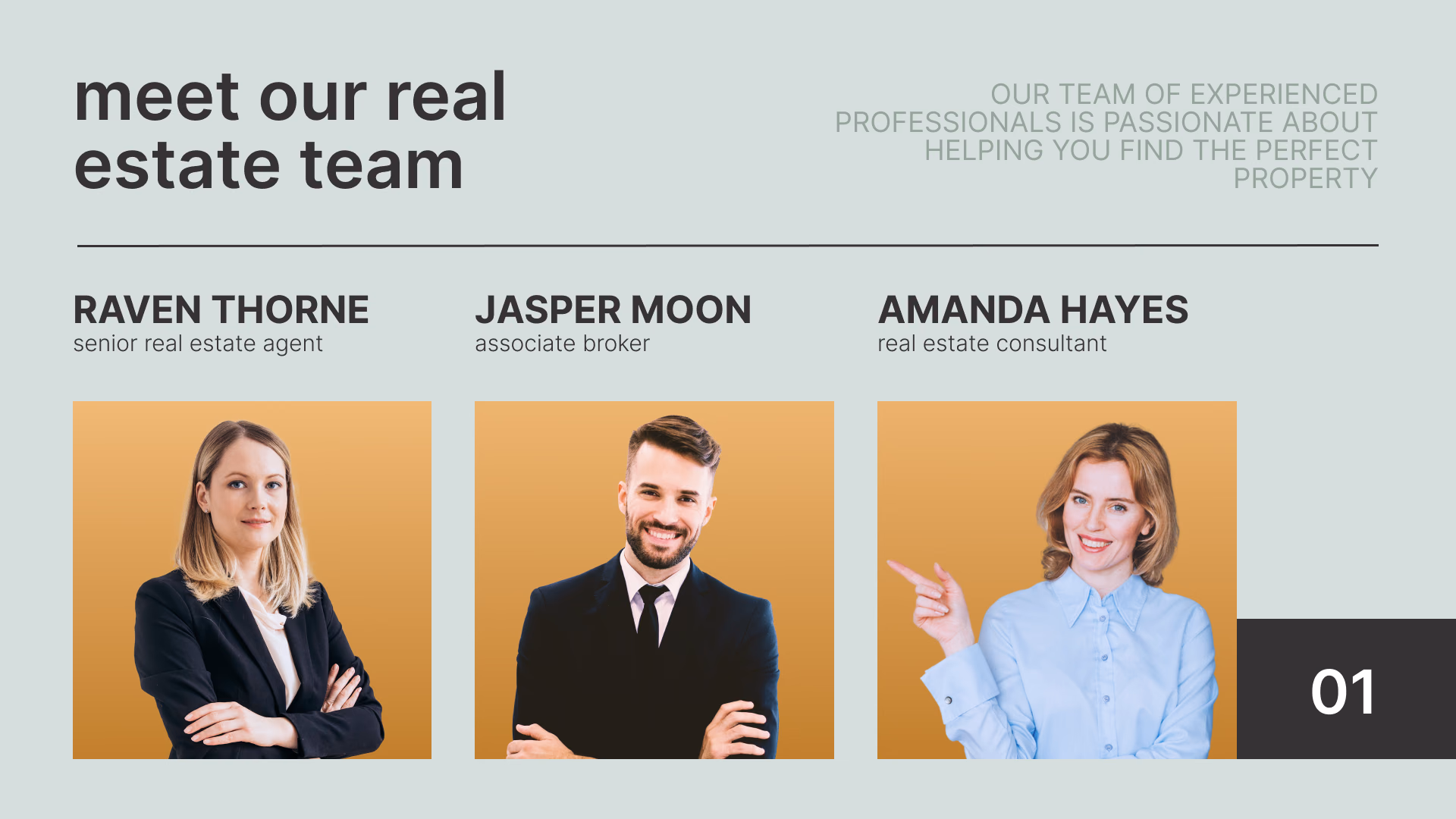 Профили агентов «Meet Our Real Estate Team»