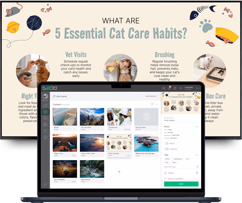 Biblioteca de conteúdo do CMS Look aberta sobre um quadro de 5 hábitos essenciais de cuidados com gatos