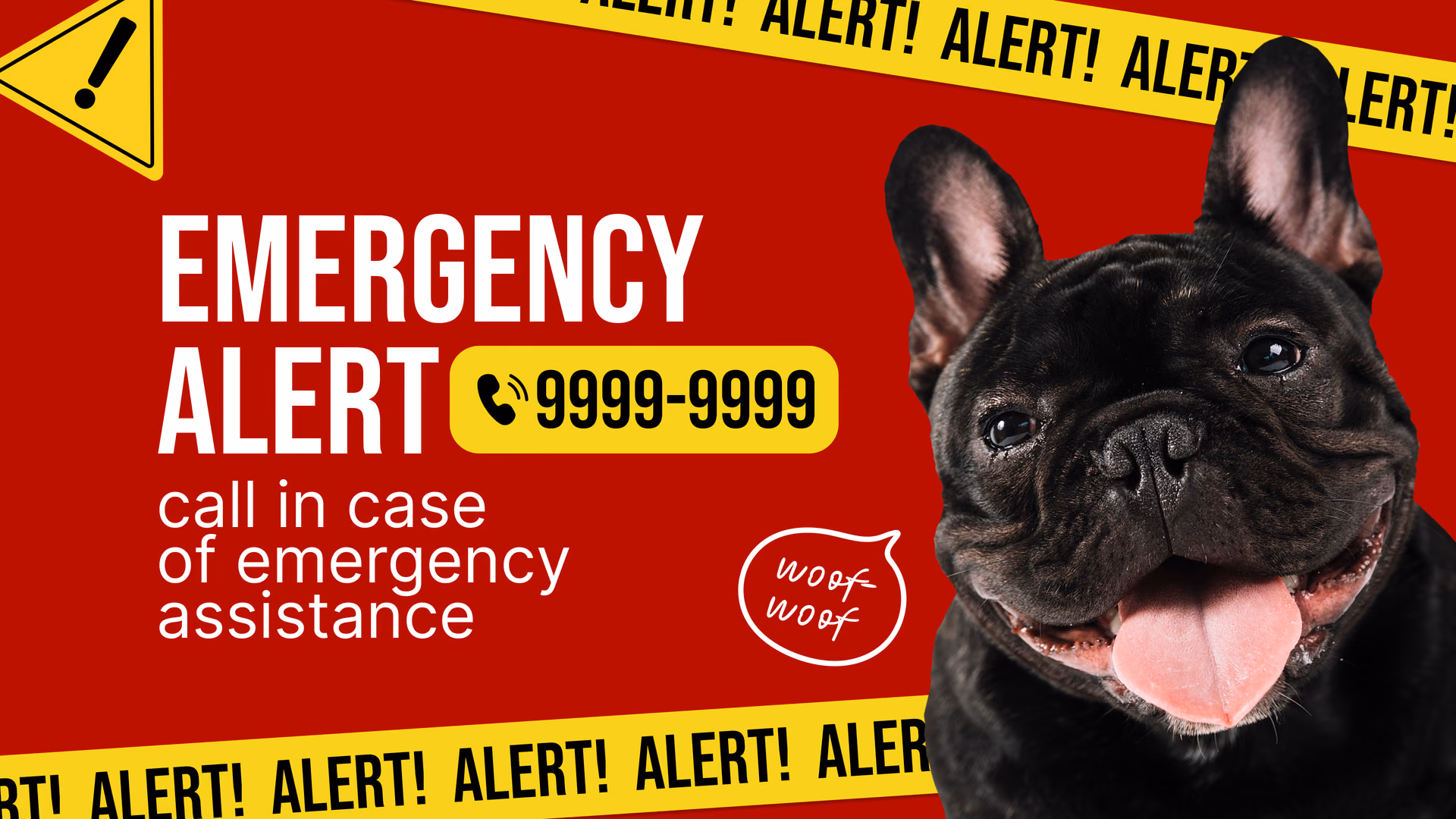 Alerta de emergência para atendimento de emergência de pets